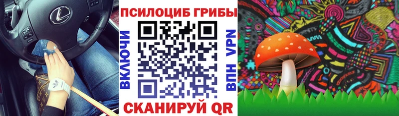 Галлюциногенные грибы Magic Shrooms  блэк спрут ссылка  Анадырь 