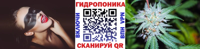 shop официальный сайт  Анадырь  Бошки марихуана VHQ  KRAKEN tor 
